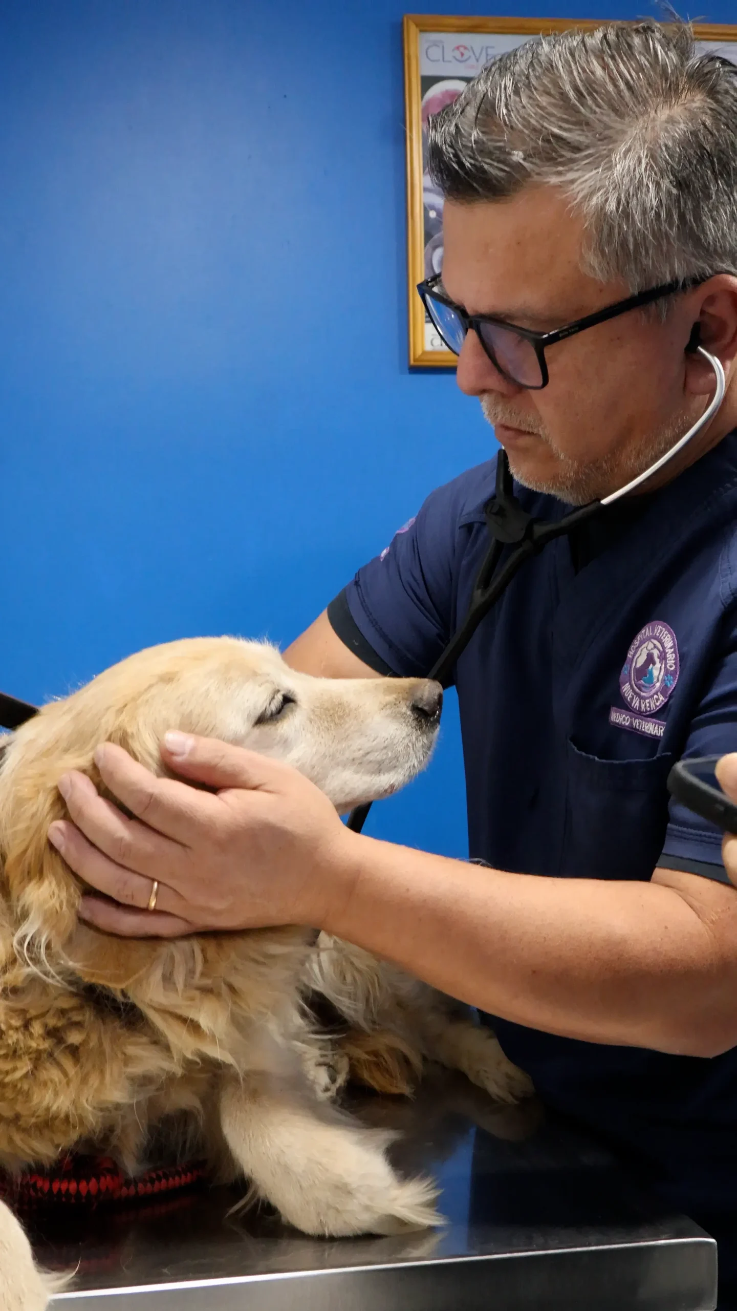Dr. Jorge Álvarez atendiendo a un perro en Hospital Veterinario Nueva Renca