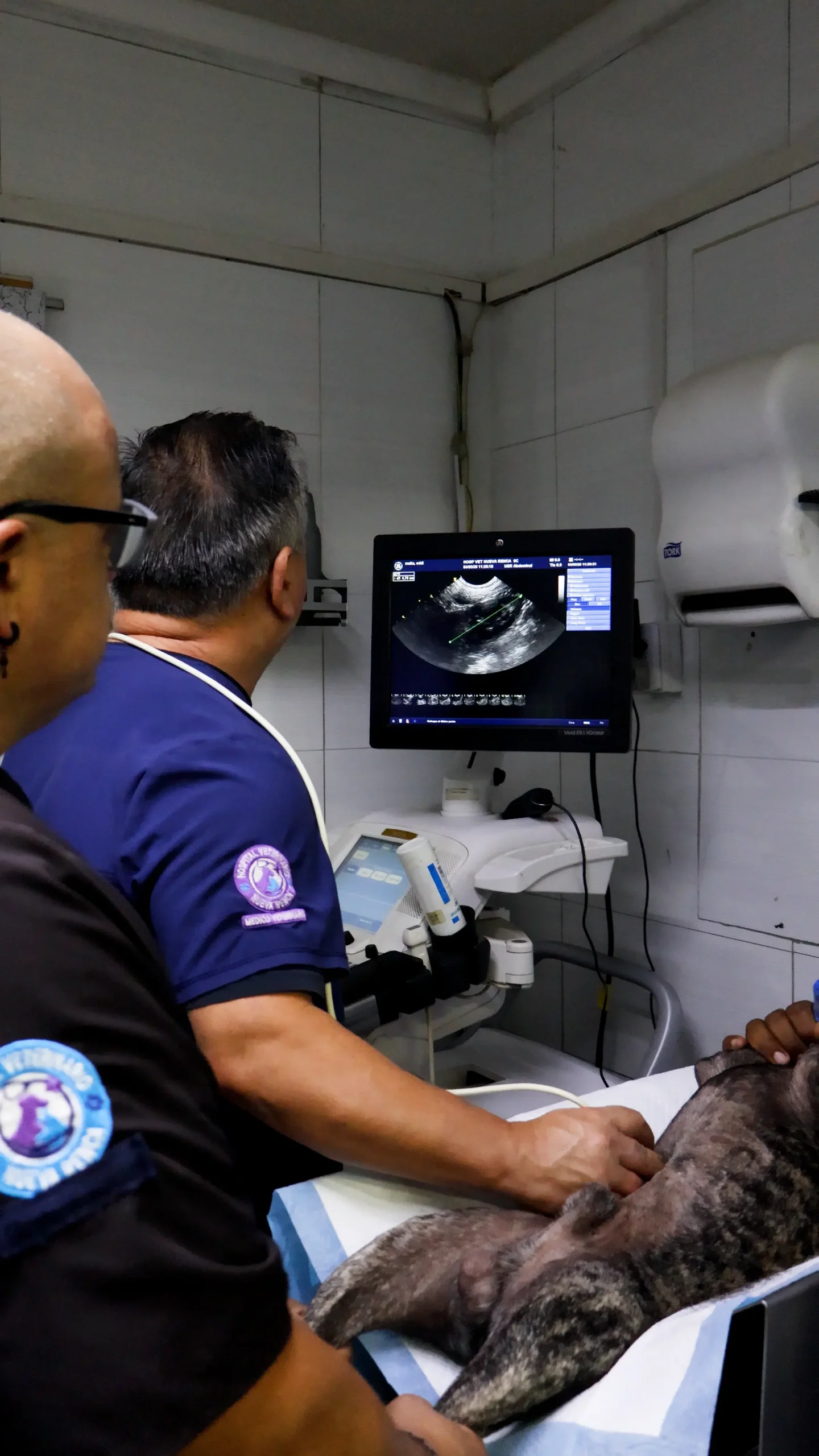 Ecografía e imagenología veterinaria en Nueva Renca