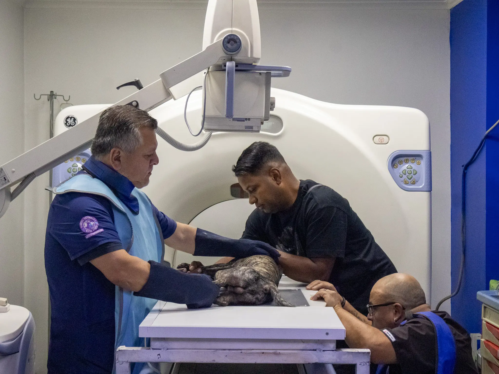 Espacio de atención en Hospital Veterinario Nueva Renca