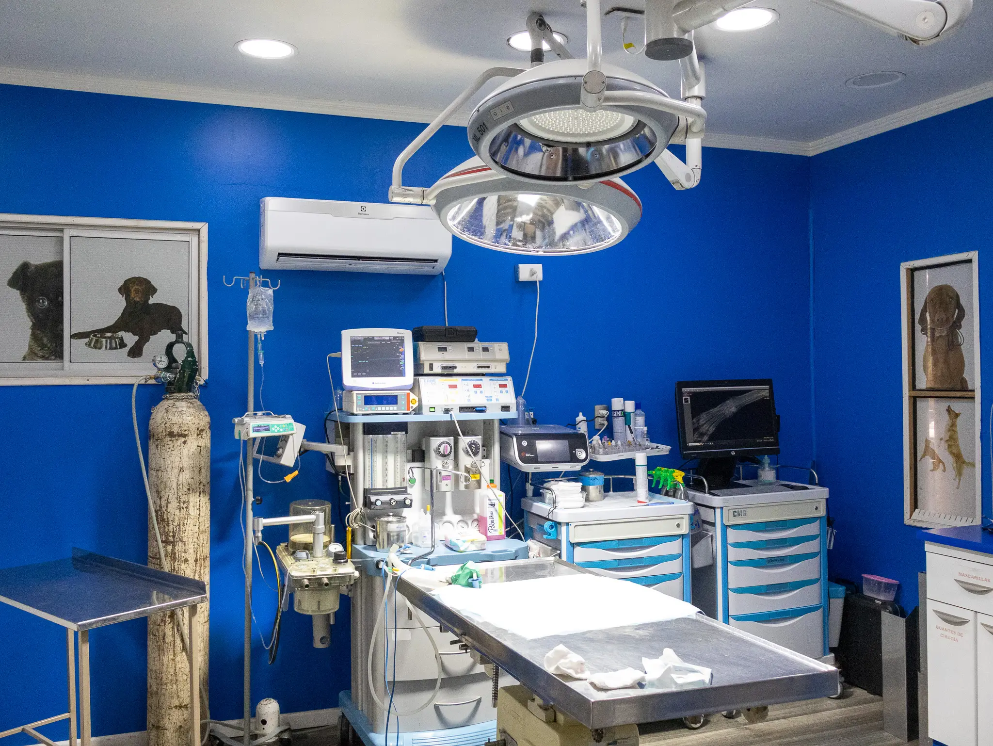Sala de operaciones de Hospital Veterinario Nueva Renca