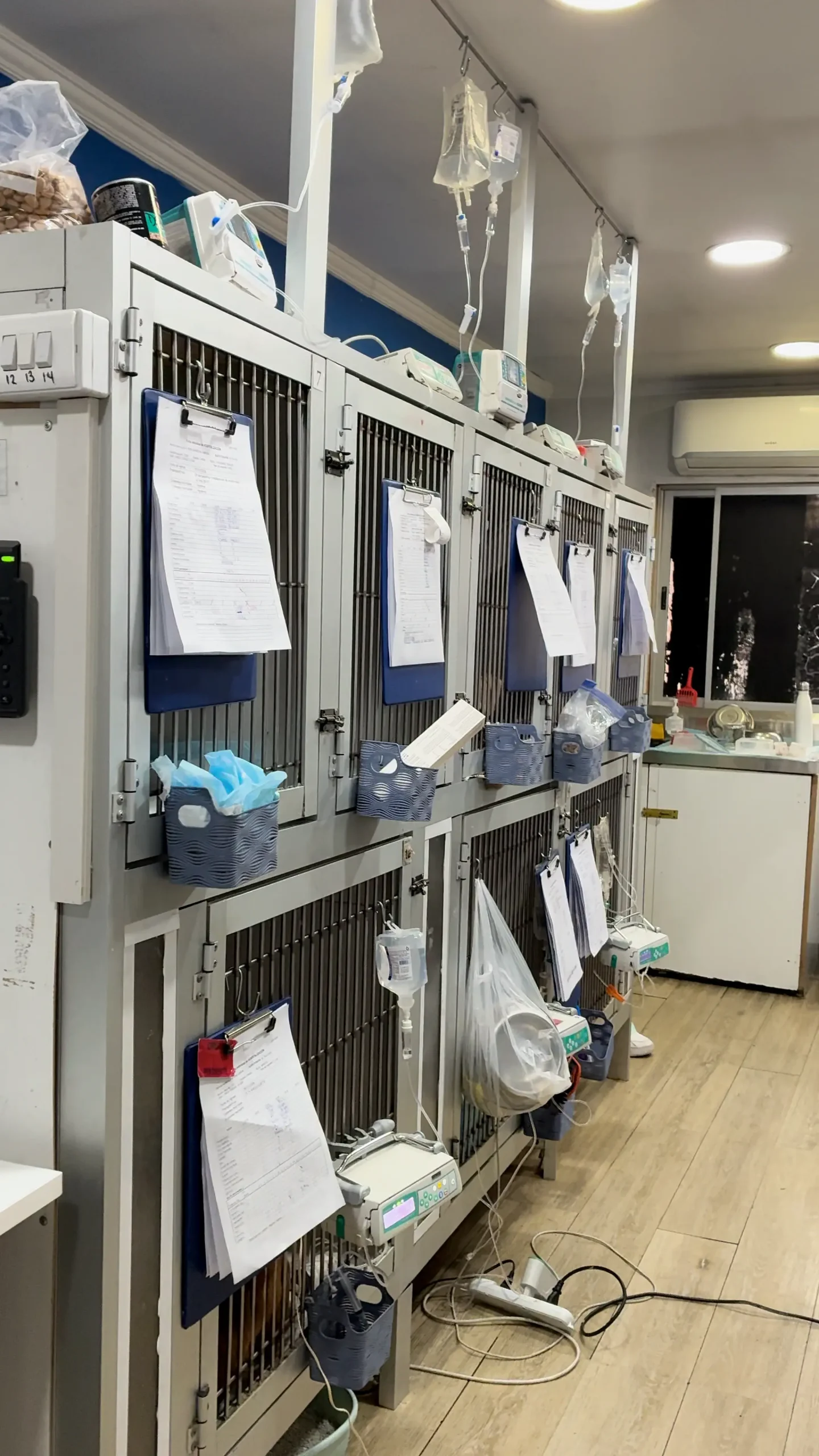 Sala de hospitalización en Hospital Veterinario Nueva Renca